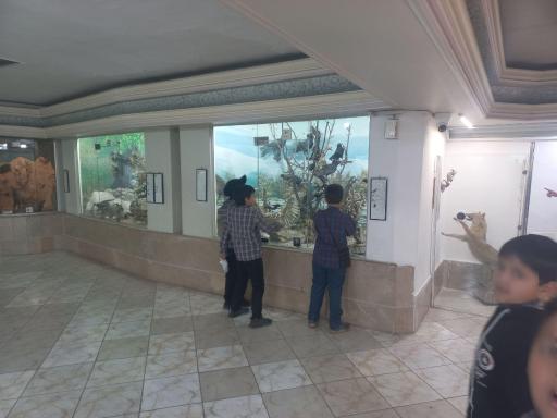 عکس موزه علوم طبیعی 