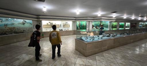 عکس موزه علوم طبیعی 