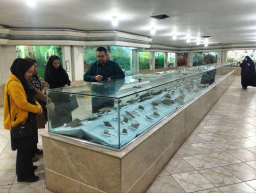 عکس موزه علوم طبیعی 