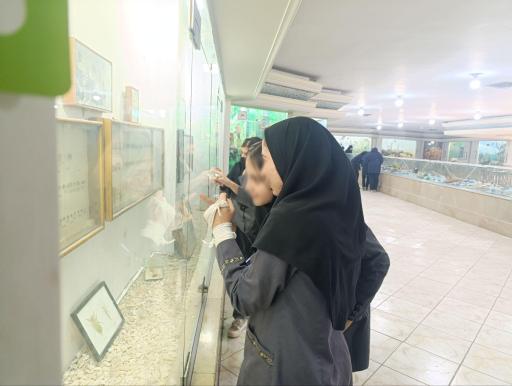 عکس موزه علوم طبیعی 