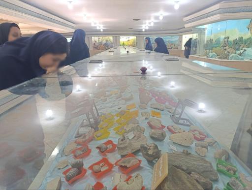 عکس موزه علوم طبیعی 