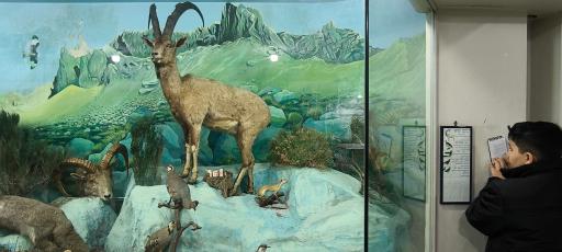 عکس موزه علوم طبیعی 