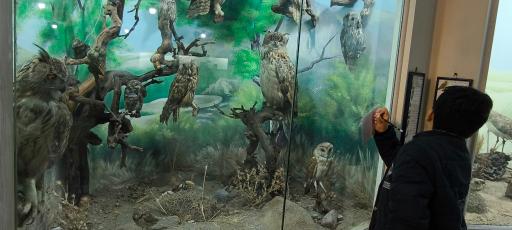 عکس موزه علوم طبیعی 