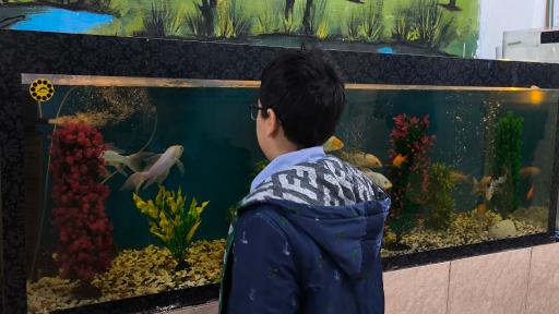 عکس موزه علوم طبیعی 