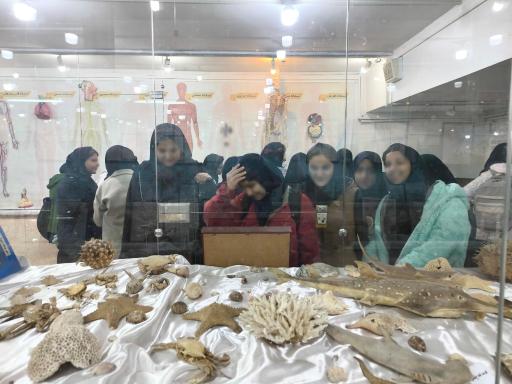 موزه علوم طبیعی 