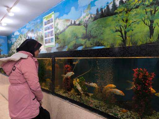 موزه علوم طبیعی 