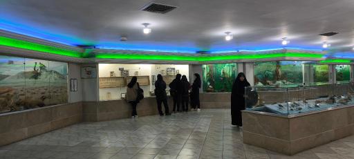 عکس موزه علوم طبیعی 