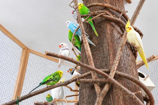عکس موزه علوم طبیعی 