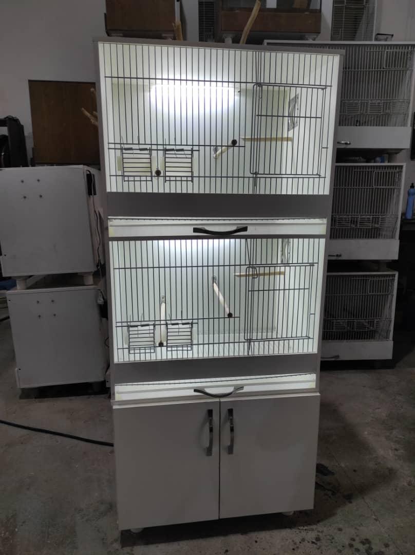 عکس سپاس پت