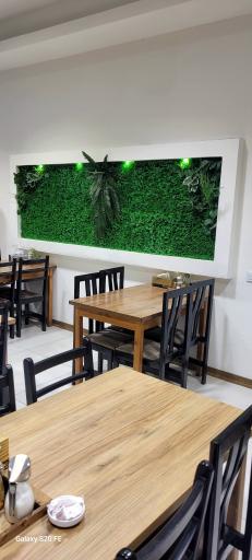 عکس صبحانه سرای بابل