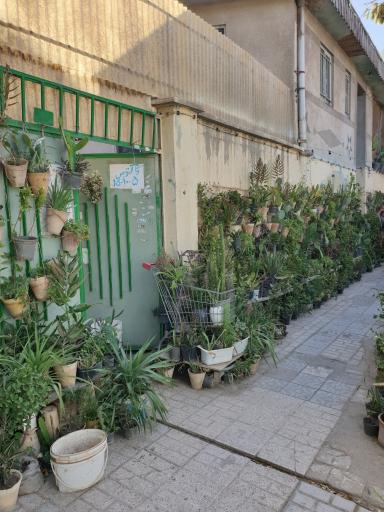 گل و گیاه فروشی