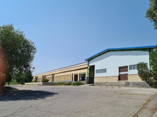 عکس سرین آپ