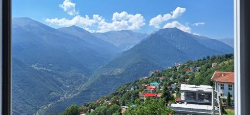 عکس برسه
