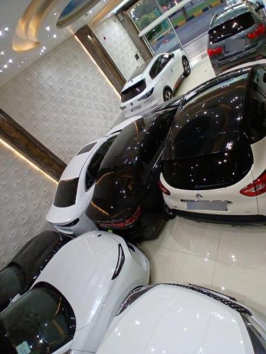 عکس اتو گالری علیرضا عارفان