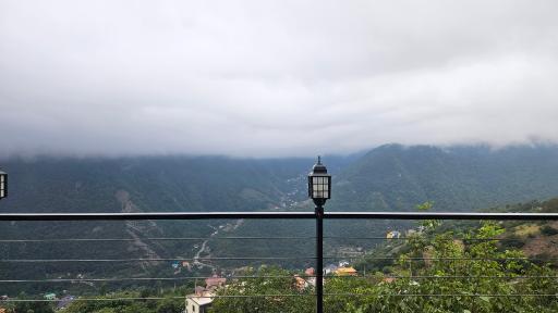 عکس برسه
