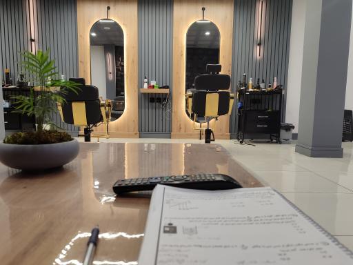 عکس پیرایش سروش