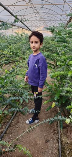 عکس گلخانه مهدیار 
