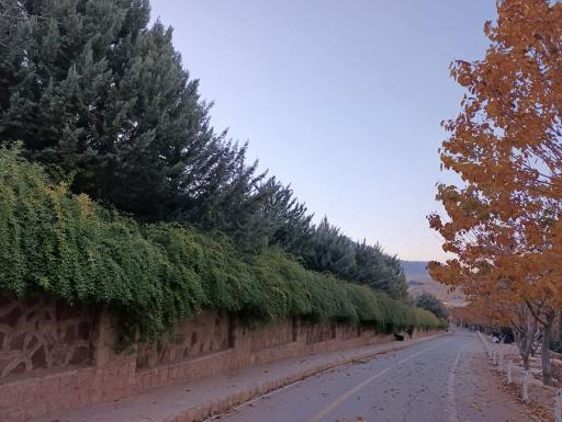 عکس پارک کوهستان و پیاده راه سلامت