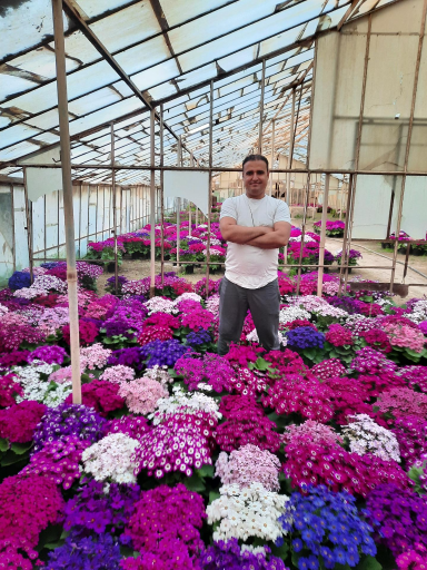 عکس گلخانه مهدیار 