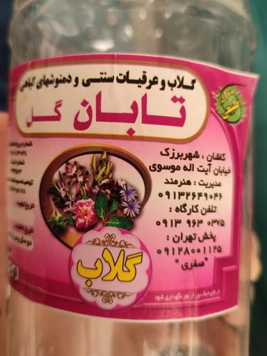 عکس گلاب گیری تابان