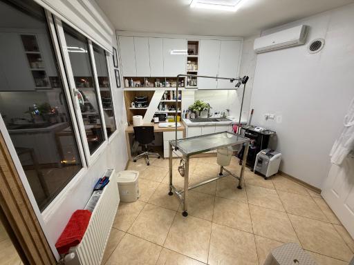 کلینیک دامپزشکی دکتر روشن پژوه