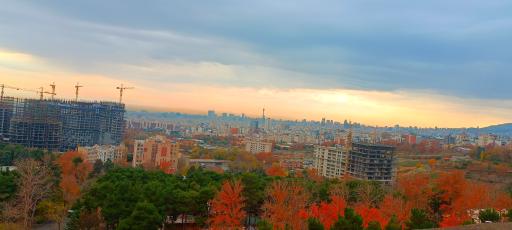 عکس بام محک