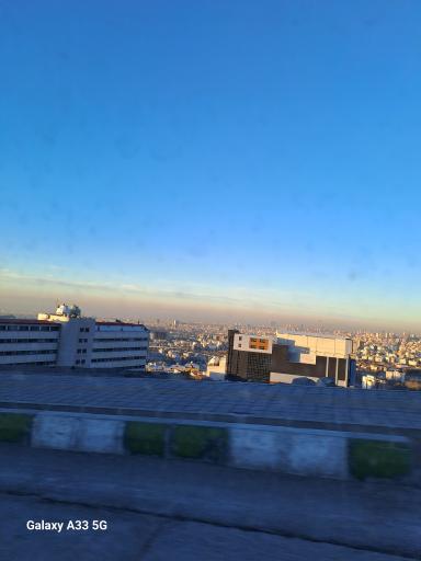 عکس بام محک