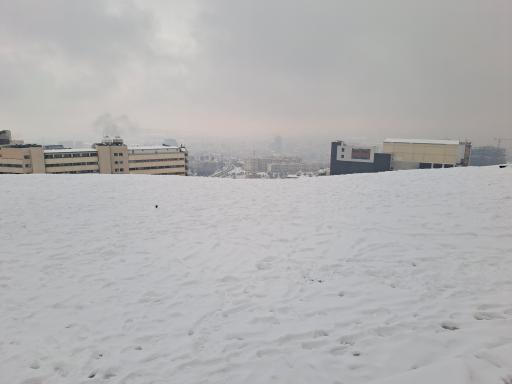 عکس بام محک