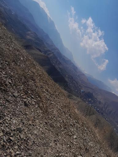 عکس بام محک