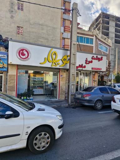 عکس پروتئین نوبهار رجبی
