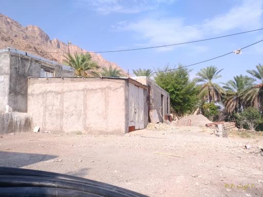 ابگرم لای بیشه