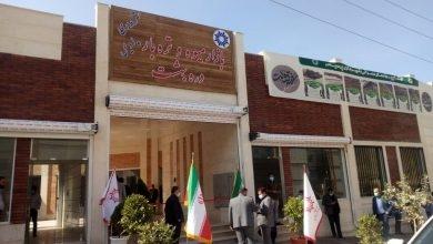 عکس تره بار فاز ۸