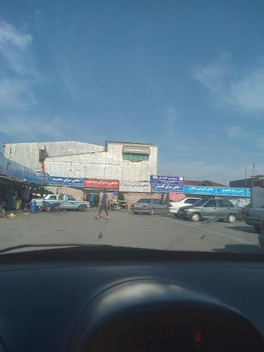 عکس ماهی فروشی درنا