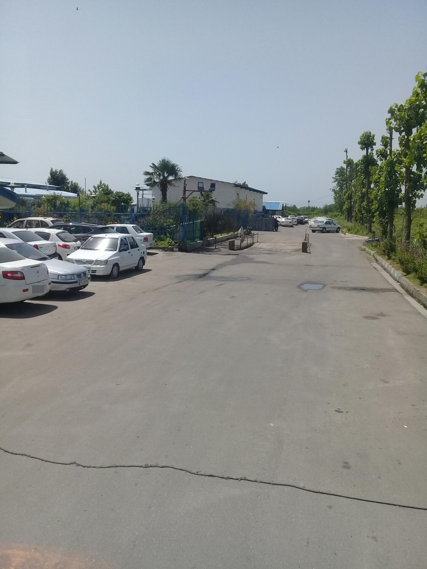 عکس جوجه کشی سپید ماکیان شعبه کفترود