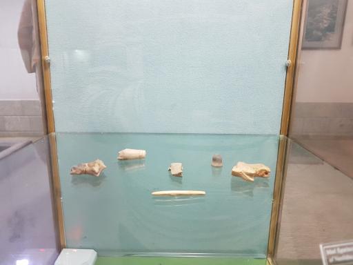 عکس موزه باستان شناسی شهرکرد