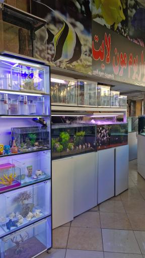 عکس آکواریوم مون لایت