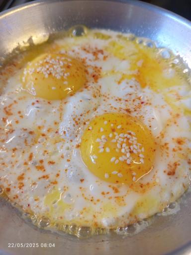 عکس ساندویچ علوی