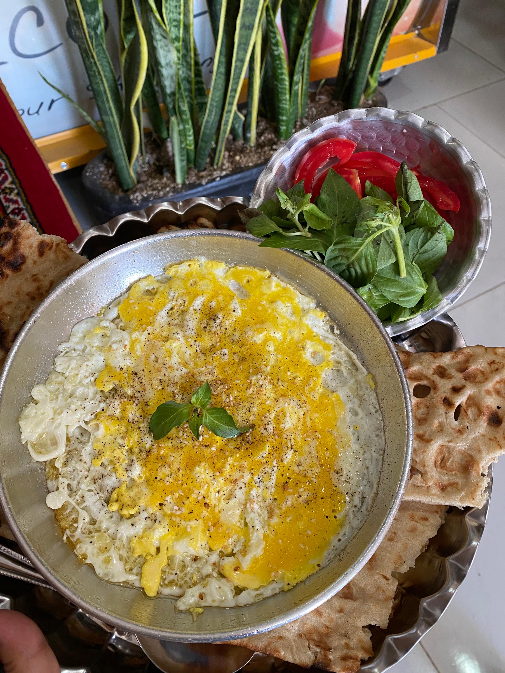 عکس باغچه درباری