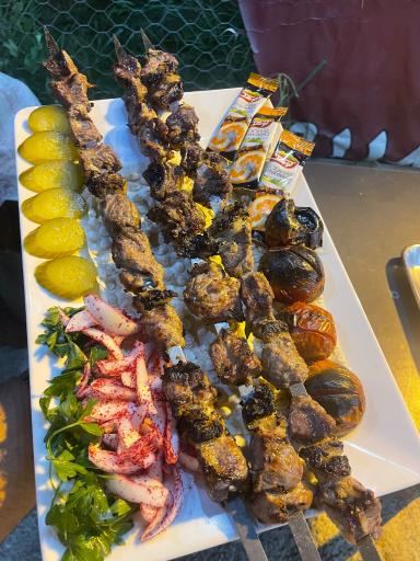 عکس کباب متری برادران 