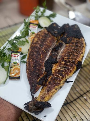 عکس کباب متری برادران 