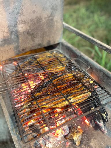 عکس کباب متری برادران 