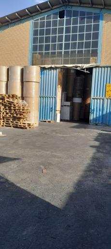 عکس رول شیت حمید