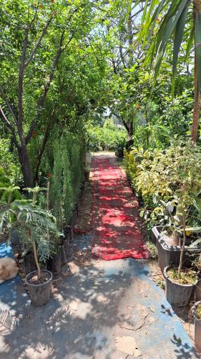 عکس مجتمع گل و نهال زینتی