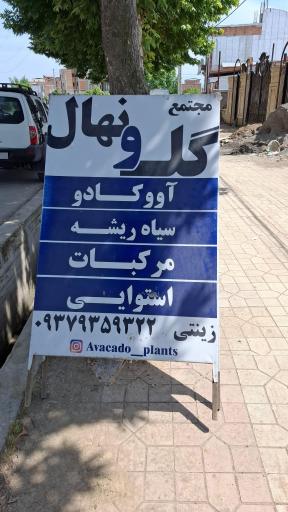 عکس مجتمع گل و نهال زینتی