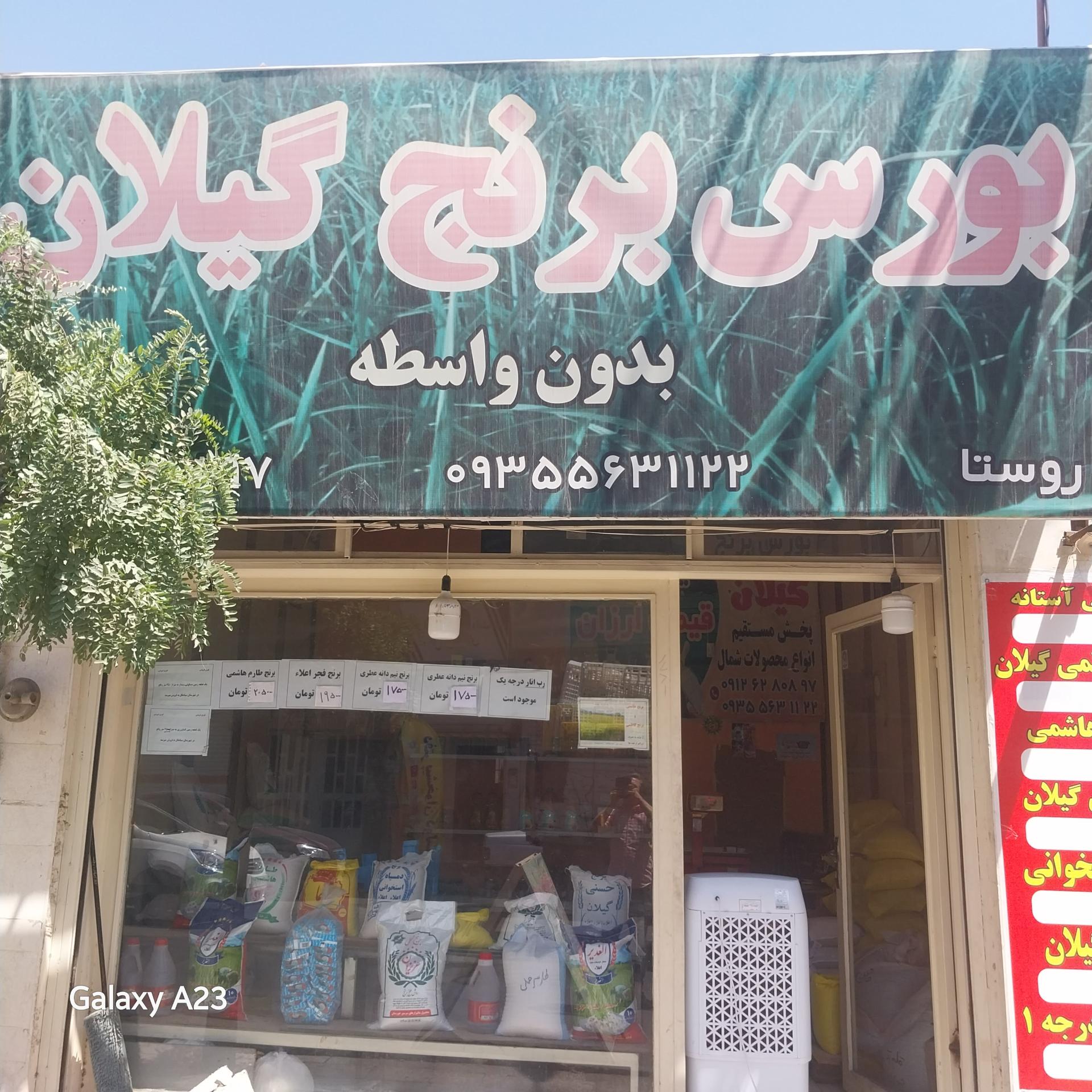 عکس بورس برنج گیلان