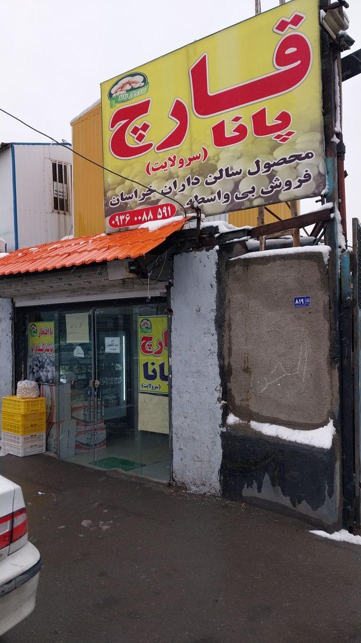 عکس قارچ پانا