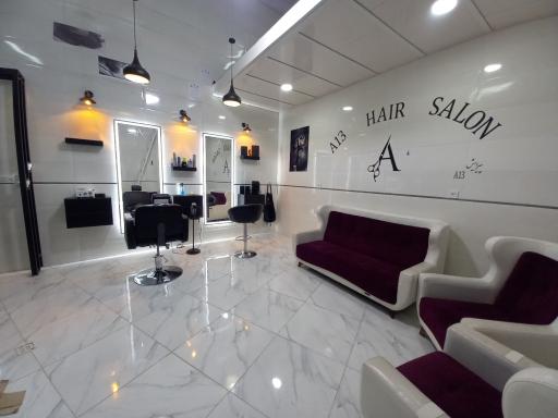 عکس پیرایشA13