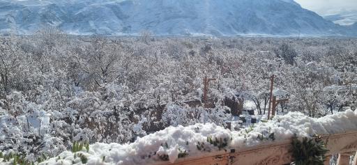 عکس رستوران باغ ناربُن