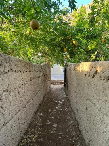 عکس رستوران باغ ناربُن