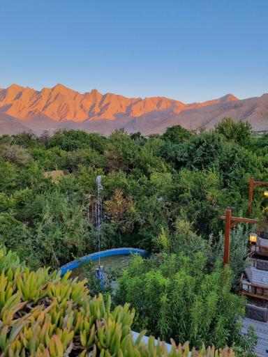 عکس رستوران باغ ناربُن